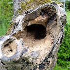 20100825_063_small.JPG