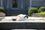 Hey sister!  Don't look at me for any help!!   I'm outta here!