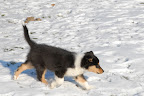 _DSC0005.JPG