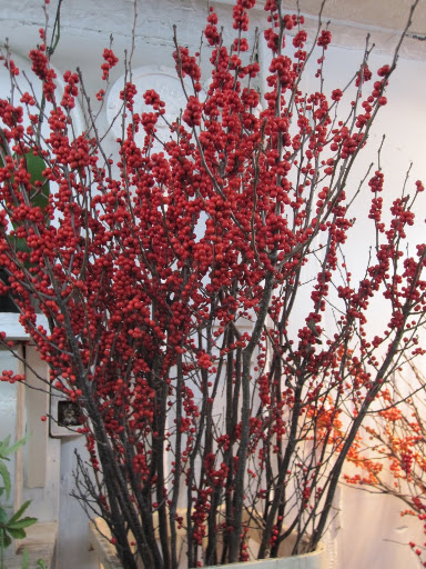 A closer look at the Ilex -- the red will be beautiful to mix in to make a Christmas arrangement next month!