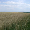 widok ze wzgórza santockiego dsc05856.jpg