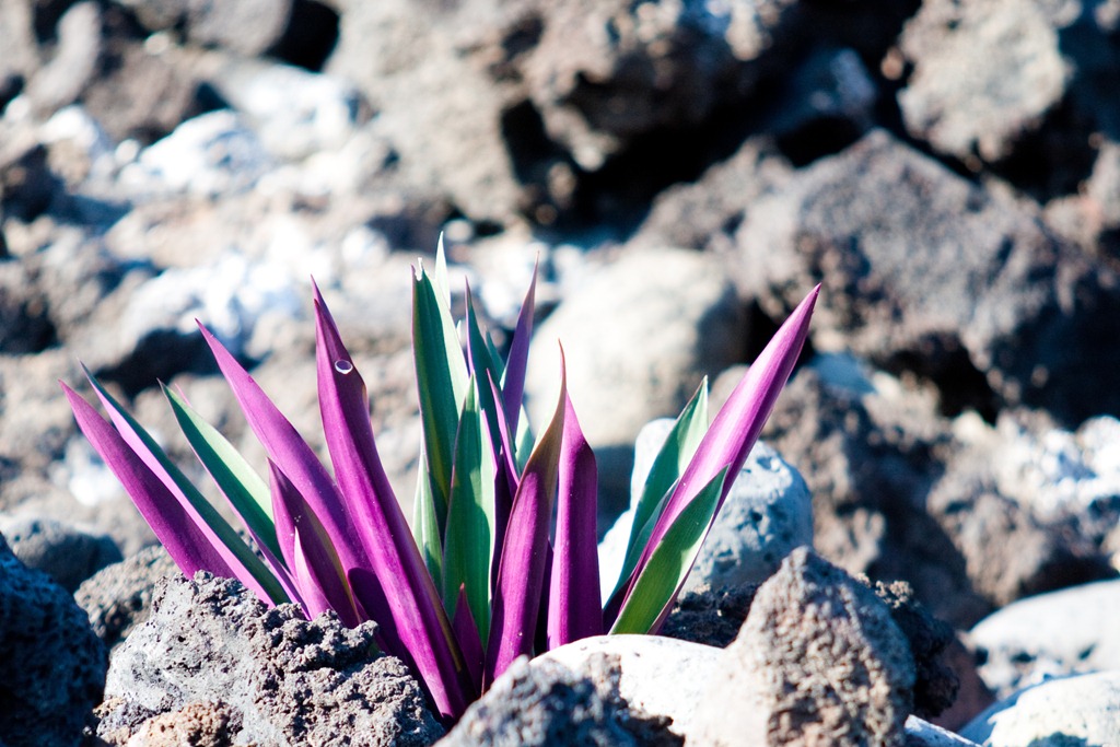 [20121217-IMG_47954.jpg]