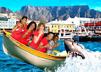 SHARK BOAT2.jpg