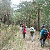 DSC03939.jpg