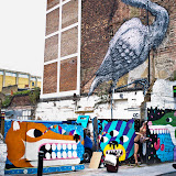 DSCF0234.jpg