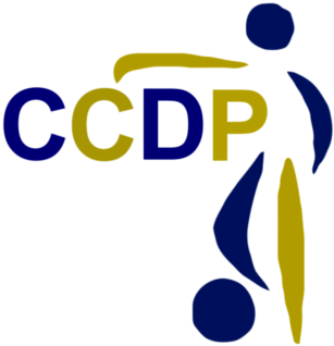 [CCD%2520Perr%25C3%25A3es%255B3%255D.png]