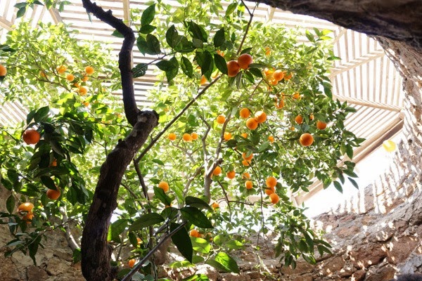 [20150314-DSC00385%255B4%255D.jpg]