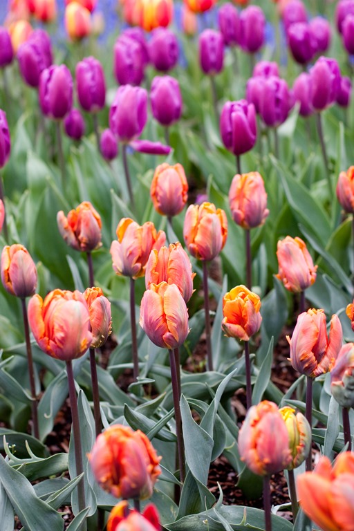 [20130415-IMG_77923.jpg]