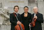 Wiener Brahms Trio
