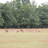 IMG_2782.JPG