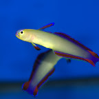 DSC_2178.jpg