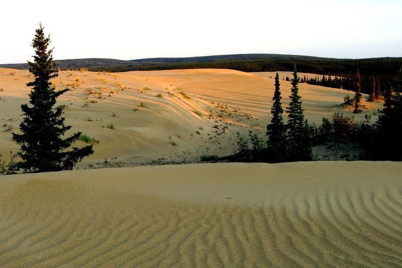 great-kobuk-sand-dunes-4