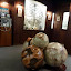 P1160812.JPG