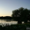 za rz.Odrą są już Niemcy... dsc05722.jpg