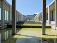 IMG_2586.JPG
