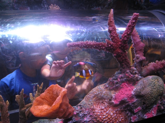 [IMG_8442%255B2%255D.jpg]