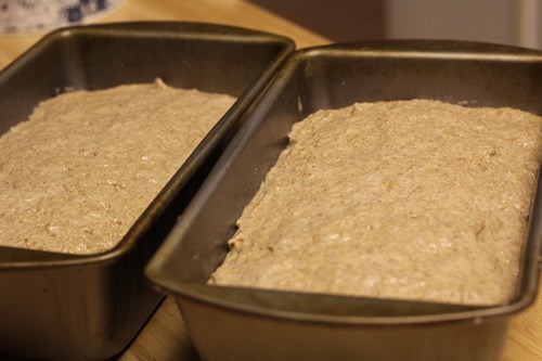 [ezekiel-bread_1656%255B4%255D.jpg]
