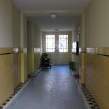 IMG_6766.JPG