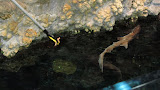 IMG_0033-3.JPG