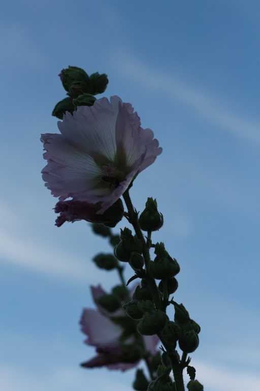 [IMG_0418%255B4%255D.jpg]