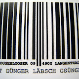 fasnacht_2009
