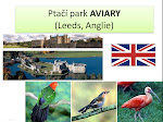 Leeds Aviary Park Anglie