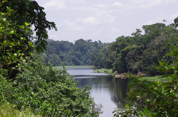 La Nyong à Ebogo. Cameroun, 8 avril 2012. Photo : J.-M. Gayman