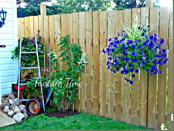 BeFunky_051.jpg BeFunky_051.jpg