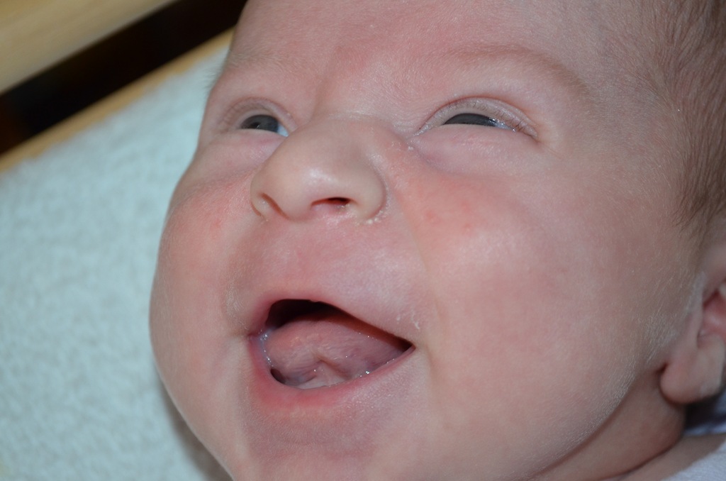 [DSC_3889%255B4%255D.jpg]