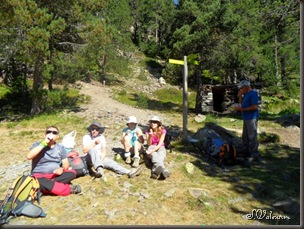 SAM_0603 SAM_0603