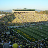 ducks 103.jpg