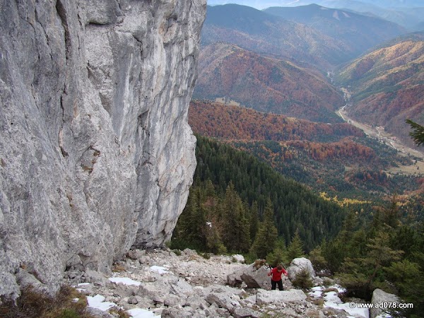 cioranga ramura de sus-29.JPG
