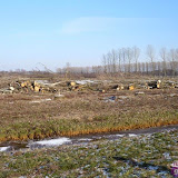 P1020564.jpg