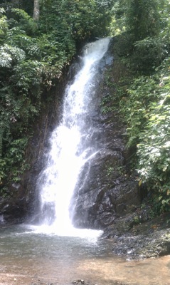 IMAG0547.jpg IMAG0547