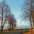 Gołęczyna.jpg