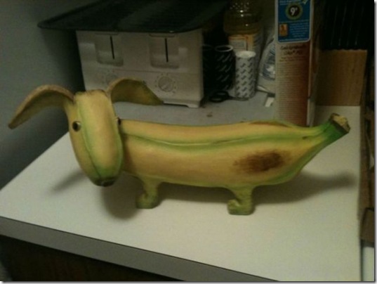viral-picdump-pics-7b9af7