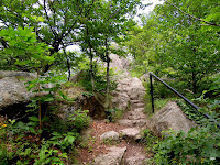 DSCN2133.JPG Photo