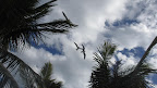 After all...they have the advantage of watching all the local activity from above!