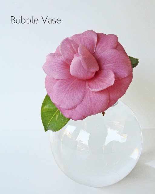[Ornament-Vase---Cover3.jpg]