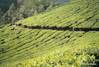 Munnar