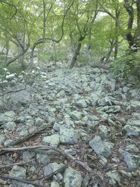 [2011-06-04_19-26-14_363%255B8%255D.jpg]