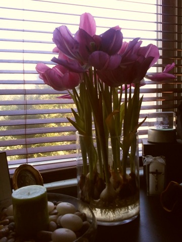 [2012-03-27%252010.58.40%255B19%255D.jpg]