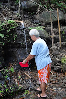pinoyecofarm november_0023.JPG