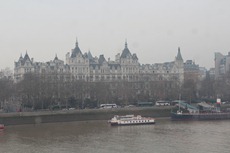 IMG_1348 IMG_1348