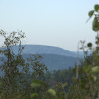 russischer Urwald