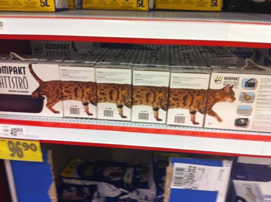 [viral-picdump-pics-30%255B2%255D.jpg]