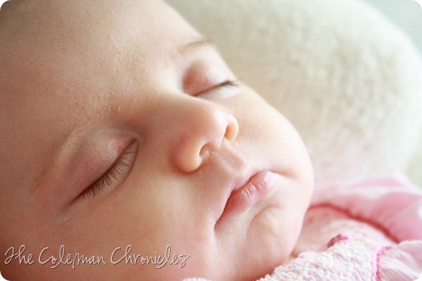 IMG_7375 IMG_7375