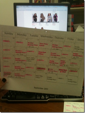 training plan 2