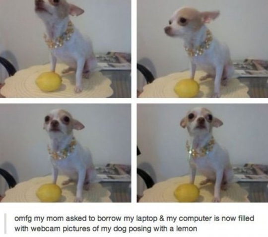[viral-picdump-pics-380116%255B2%255D.jpg]