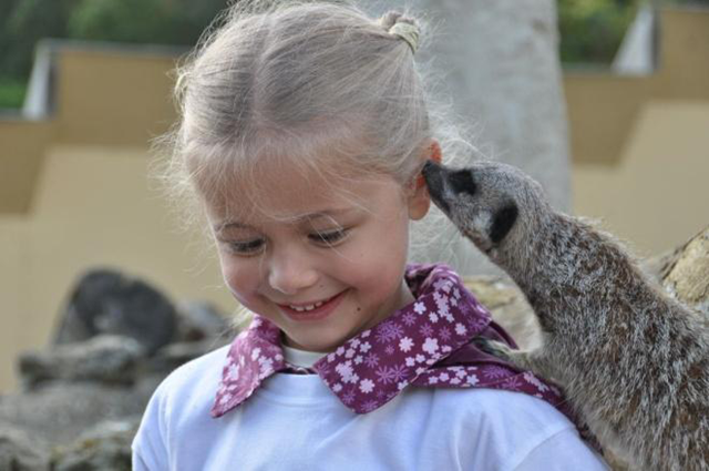 [image%255B17%255D.png]